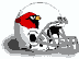 Sports Update